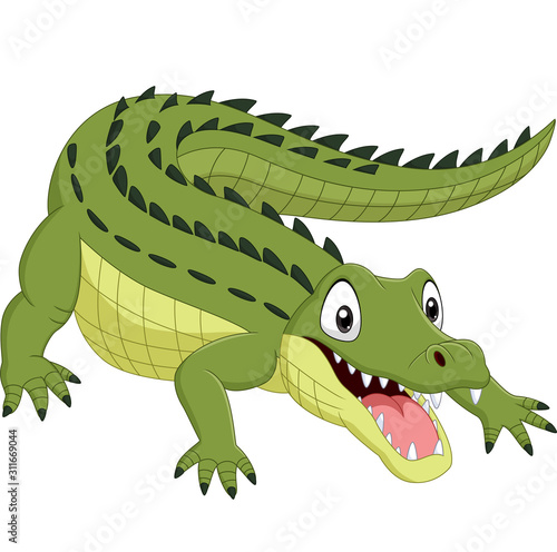 Cartoon crocodile isolated on white background