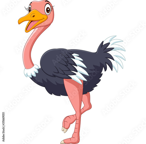 Cute ostrich cartoon on white background