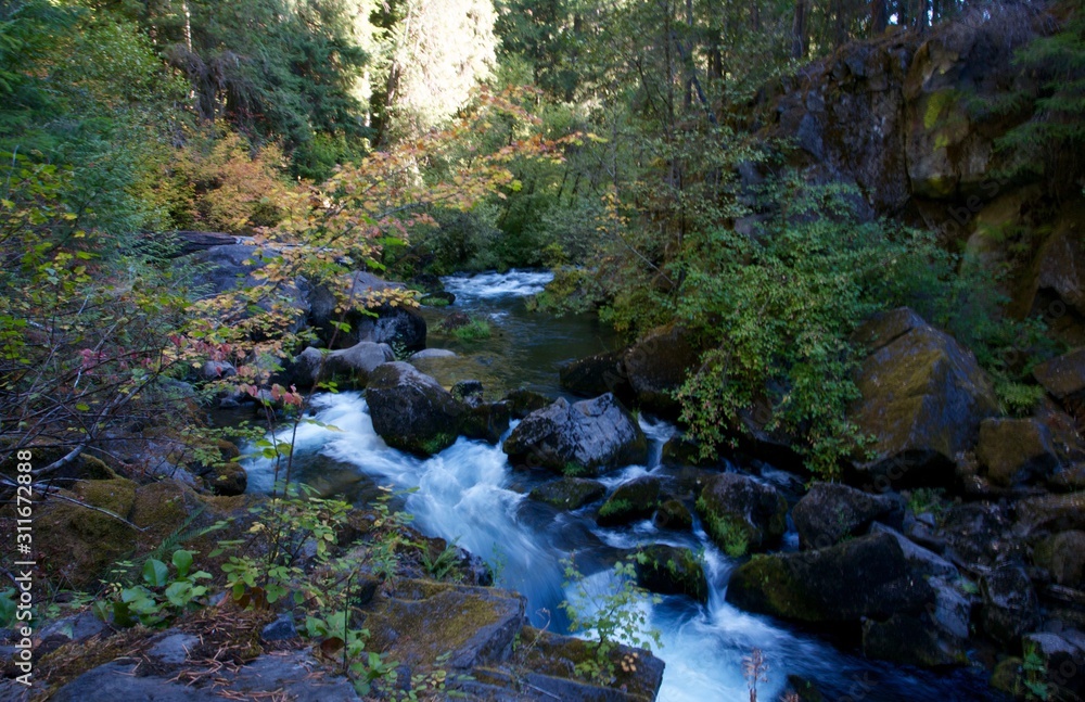 Autumn Stream