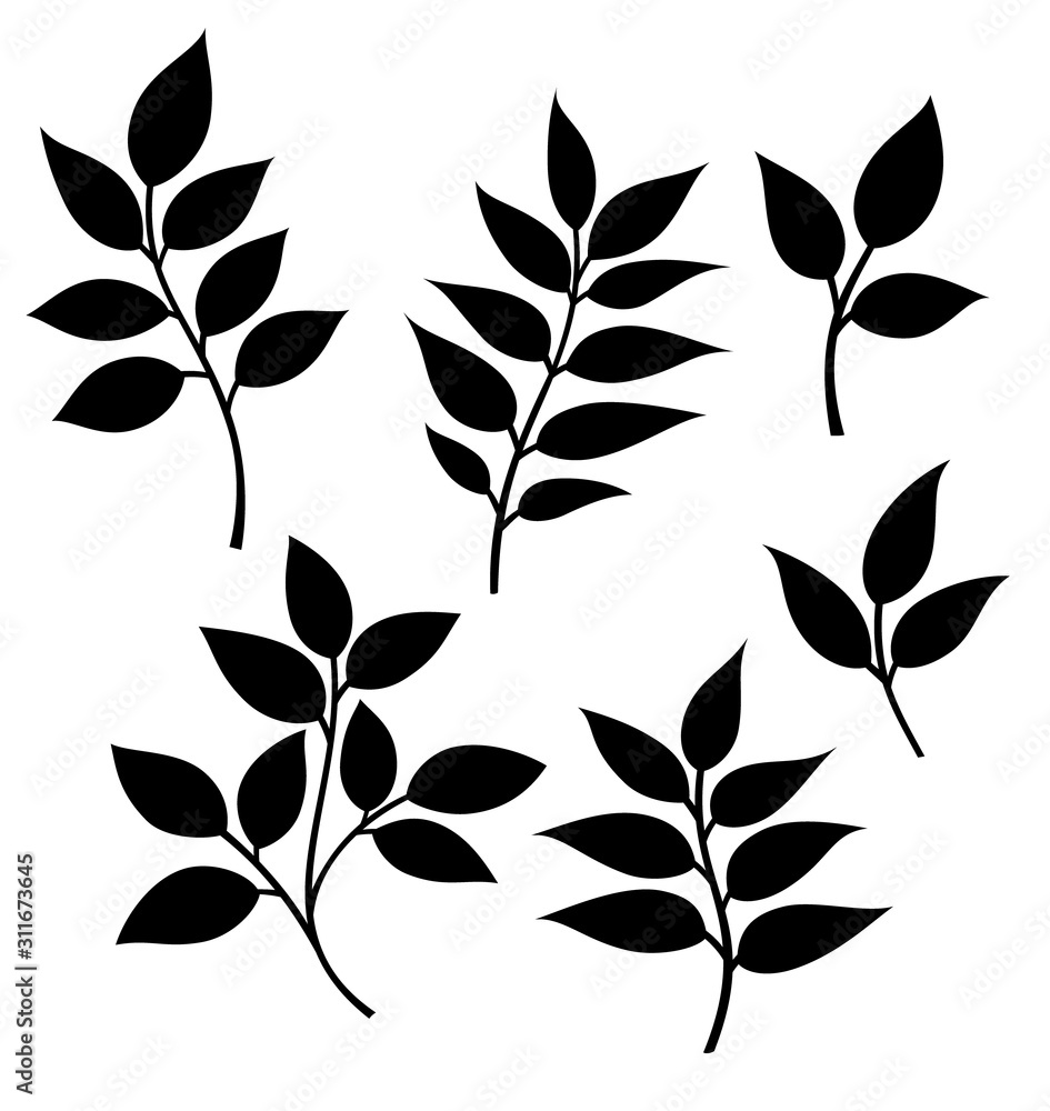 Set of decorative leaf silhouette. Vector ruscus simple stencils. Stock
