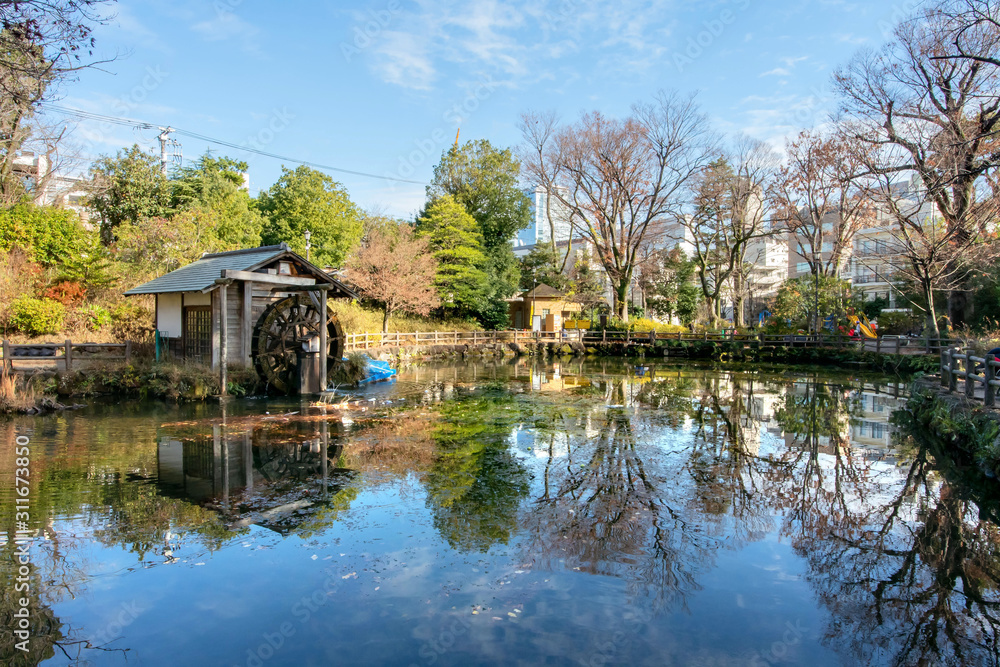 鍋島松濤公園 鍋島松濤公園