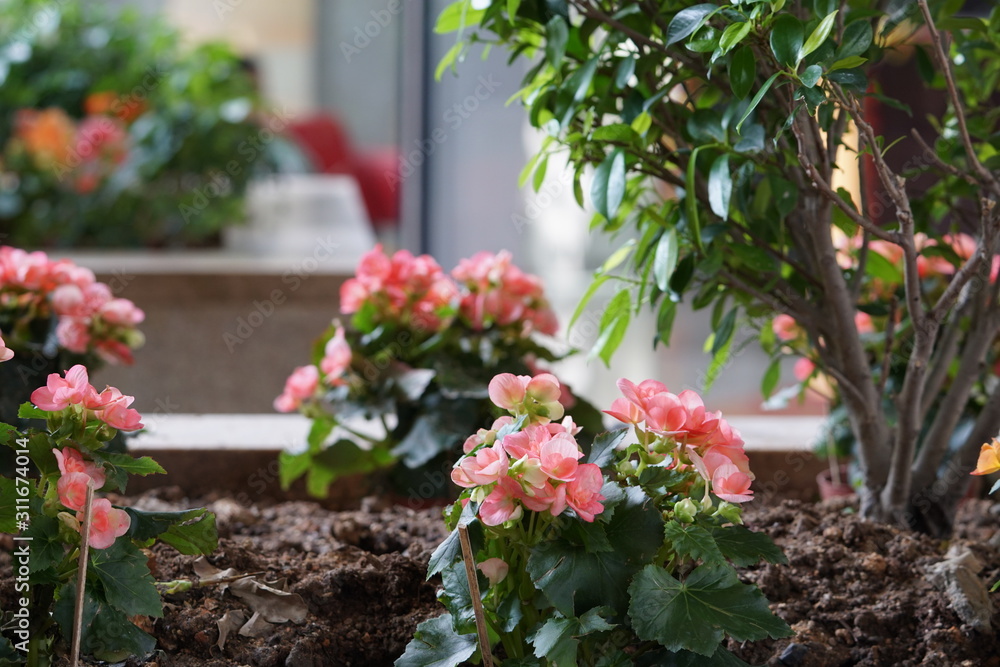 The beautiful home pink flowers decoration. The beautiful home pink flowers decoration.