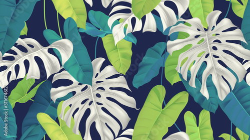 Foliage seamless pattern, white and green split-leaf Philodendron and Philodendron burle marx plant on dark blue photo