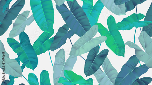 Foliage seamless pattern, blue and green Philodendron burle marx plant on light grey