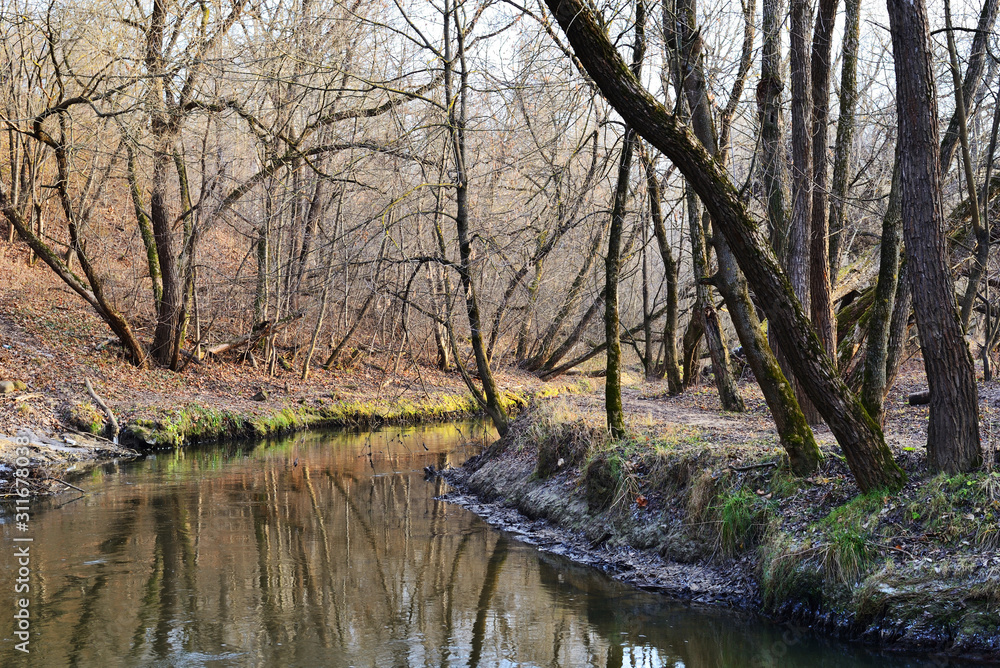 A river among trees on a clear day in late autumn. Beautiful landscape in the city park A river among trees on a clear day in late autumn. Beautiful landscape in the city park