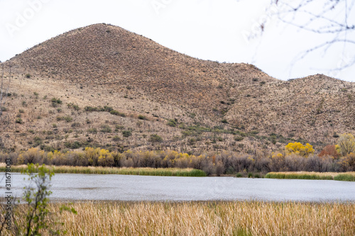 Patagonia Lake in Patagonia AZ with willow trees and dry chaparral mountain