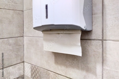 Paper towel holder in the bathroom. Dispenser with paper towels. Drawer with paper napkins for hands. Personal hygiene. © Mykhailo
