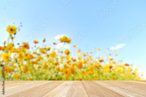 Empty top wooden table on blurred cosmos flowers in nature © หอมกลิ่น กล้วยไม้