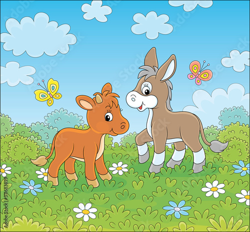 Small donkey and a little c...