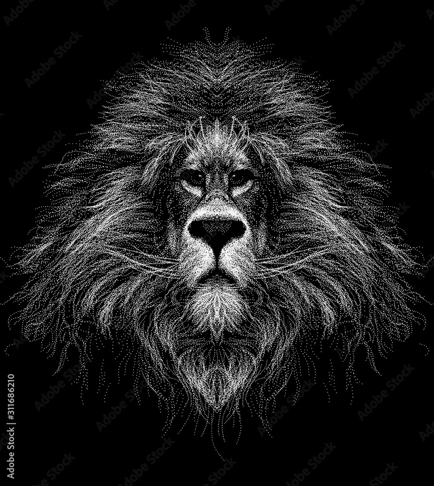Sketch a portrait lion head with a mane