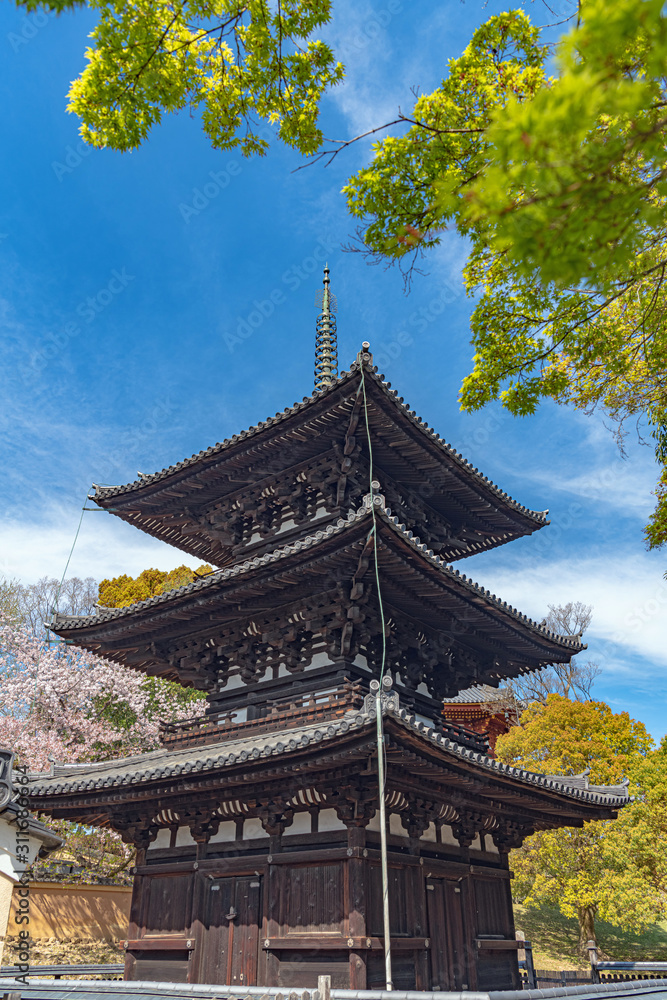 奈良 興福寺 三重塔