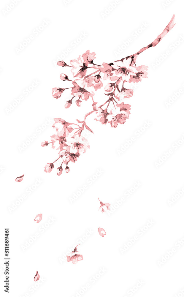 桜線画ピンク