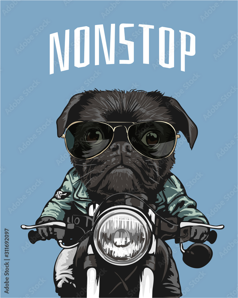 Fototapeta black pug riding motorcycle illustration