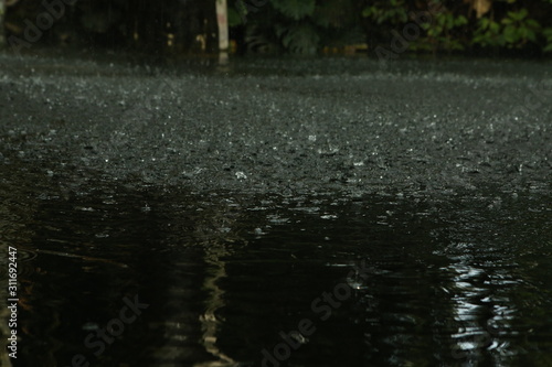 rainfall in the rainforest