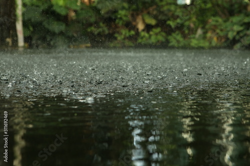 Φωτογραφία rainfall in the rainforest