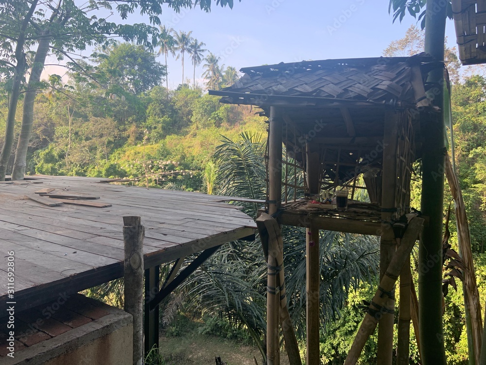 Fototapeta premium Treehouse in Bali 