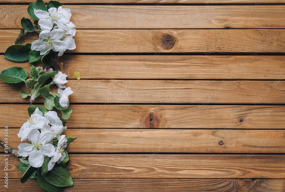 Flowering branch lie on wooden background. Apple blossoms. Copy space, mockup. White flower. Flowering branch lie on wooden background. Apple blossoms. Copy space, mockup. White flower.