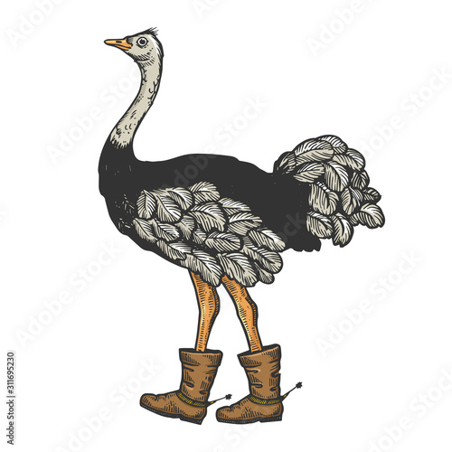 Ostrich in boots with spur bird animal sketch engraving vector illustration. T-shirt apparel print design. Scratch board imitation. Black and white hand drawn image.
