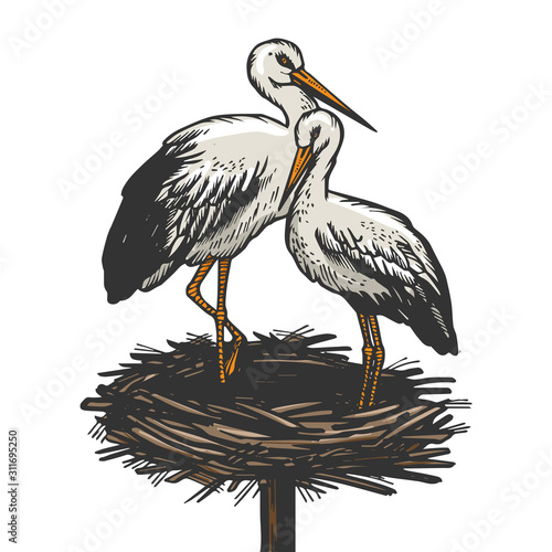 Stork in nest bird animal sketch engraving vector illustration. T-shirt apparel print design. Scratch board imitation. Black and white hand drawn image.