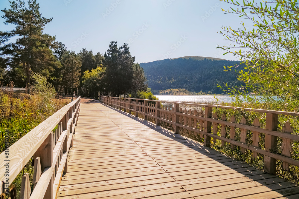 a walkway made of wood