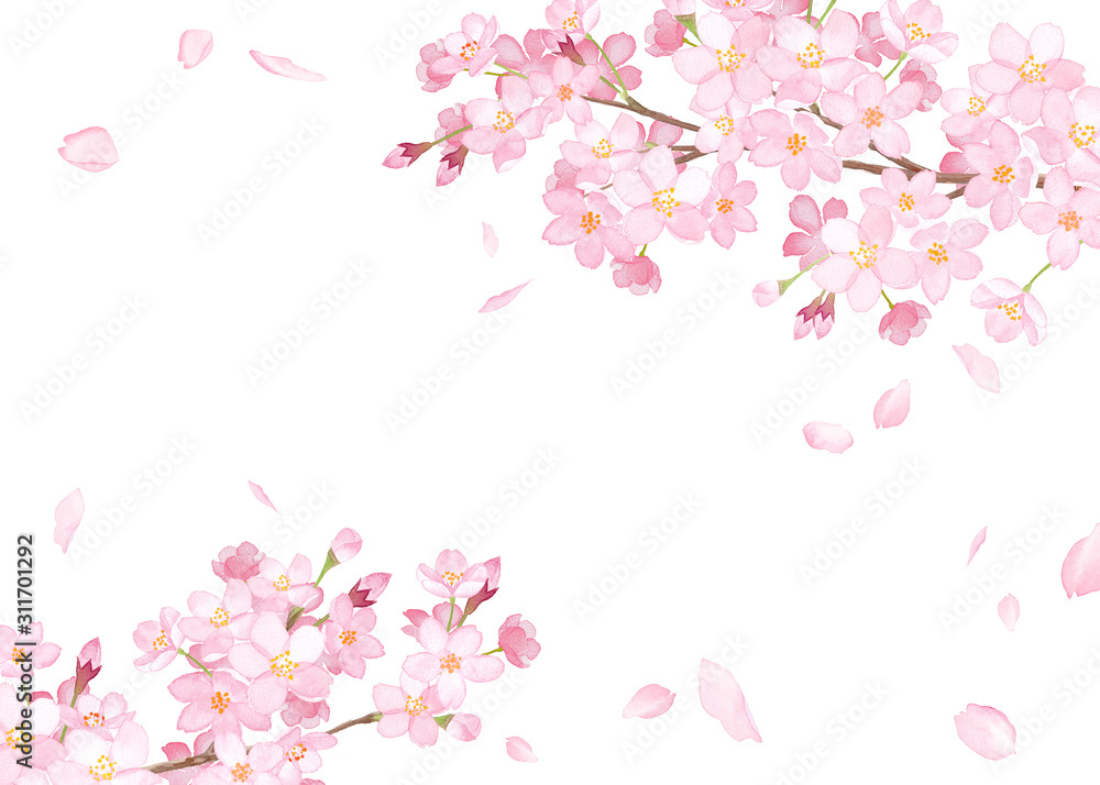春の花 さくらと散る花びらのフレーム 水彩イラスト Stock イラスト Adobe Stock
