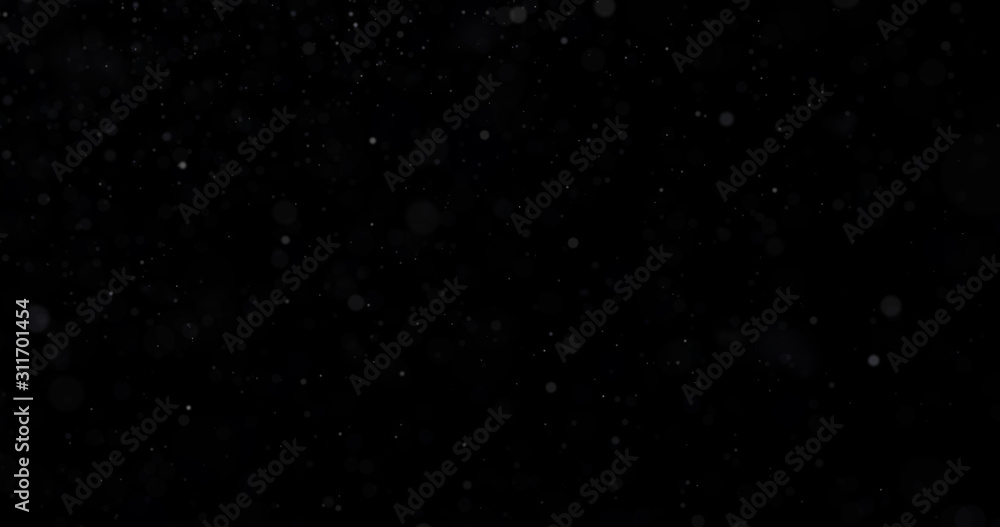 Fototapeta premium Naturalne białe zimowe opady śniegu na czarnym tle