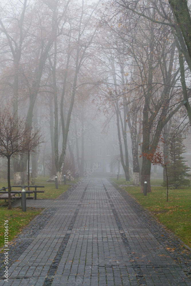 foggy path in the park in the city in the morning