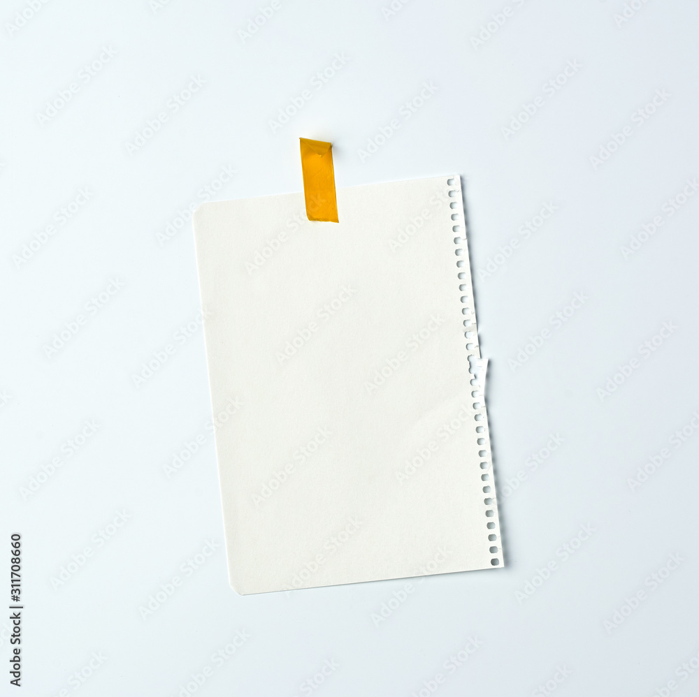 white crumpled sheet of paper torn from a spiral notebook white crumpled sheet of paper torn from a spiral notebook
