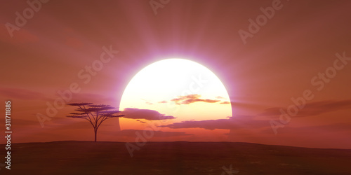 big sun sunset tree landscape  3d illustrations