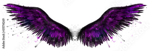 Beautiful magic black purple watercolor wings