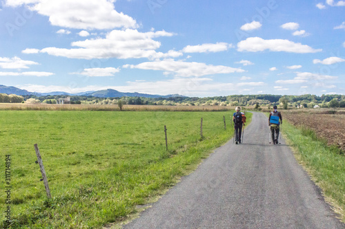 Pilgrim on the way. Way of Santiago de Compostela. Travel backpack. Sticks for sports walking. Walking in Europe. To travel on foot. The road among the field. Way of St. James. People on the Camino. © Larysa