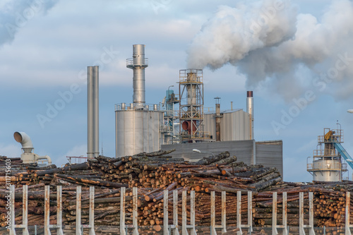 Woodworking plant, thick smoke from the pipes against the gray-blue sky. Environmental pollution.