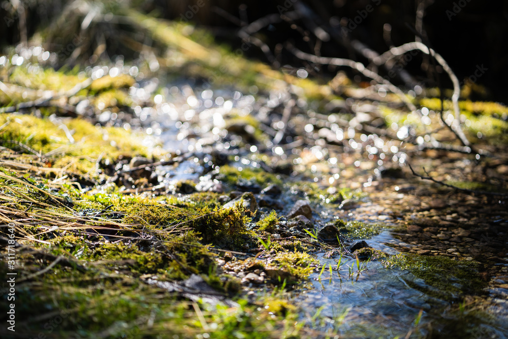Water Stream Closeup and Blurred Background Water Stream Closeup and Blurred Background