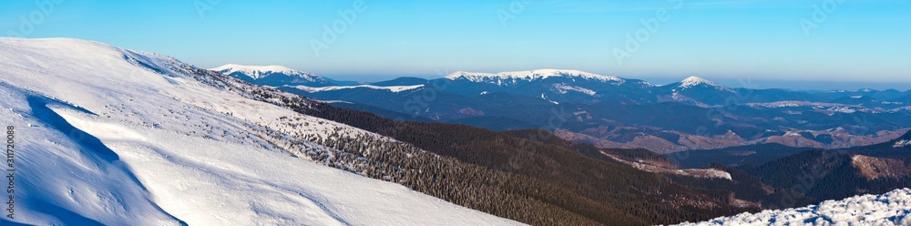 Beautiful snow-covered slope with fir trees