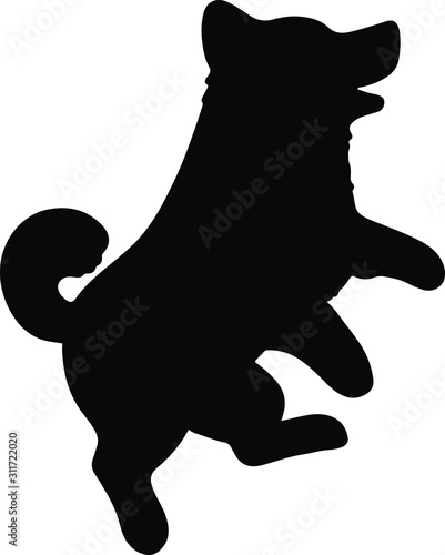 Silhouette of Shiba Inu jumping