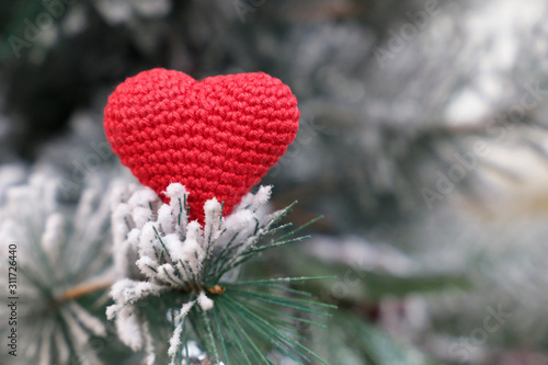 Valentine s day card  red knitted heart in the snow on fir branches. Background for romantic Christmas  New Year celebration  winter weather