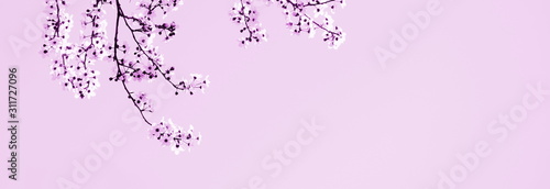 Wallpaper Mural Zierkirschenblüten in rosa und aprikot Torontodigital.ca