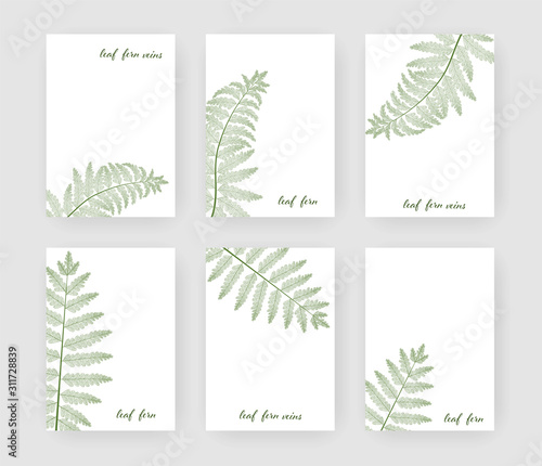 Set background with fern leaf vein  . Vector illustration. EPS 10