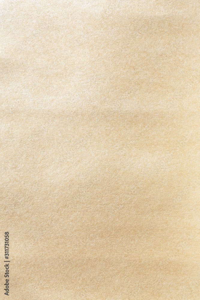 Fototapeta premium Vertical brown paper background texture