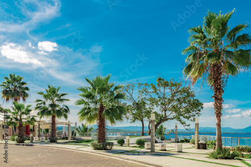 Fenix palm trees, ocean and mountain view, waterfront square, Alicia beach, Sosua, Puerto Plata, Dominican Republic photo