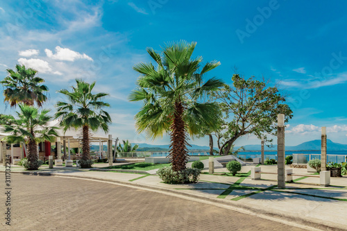 Fenix palm trees, ocean and mountain view, waterfront square, Alicia beach, Sosua, Puerto Plata, Dominican Republic