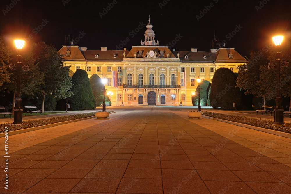 Fototapeta premium The County Hall in Sombor, Serbia at night.