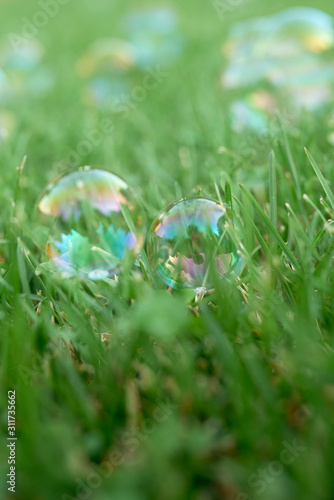 soap transparent bubbles with reflection on lush green grass