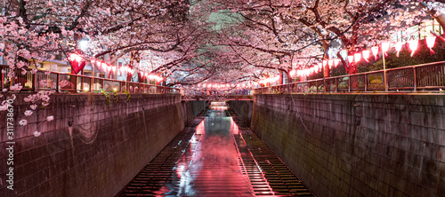【東京都 目黒区】 目黒川の夜桜 photo