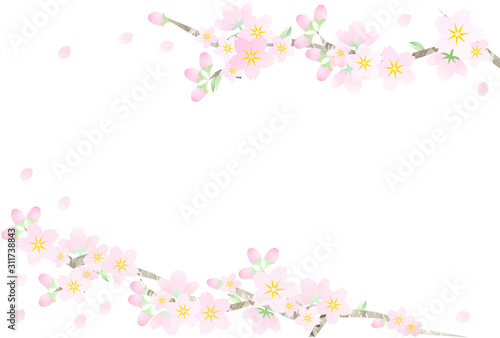 ポストカードサイズ 桜のフレーム 横