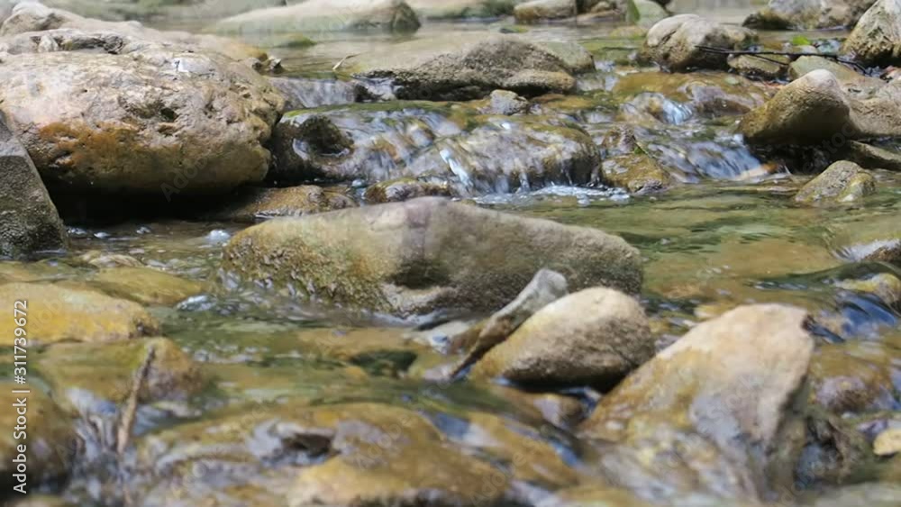Mountain stream with crystal slow flowing water. Birds and Water sound.