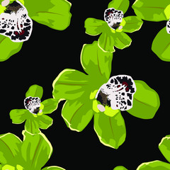 Wandcirkels Orchidee patronen Orchideeën op donkere achtergrond  © Pchelka