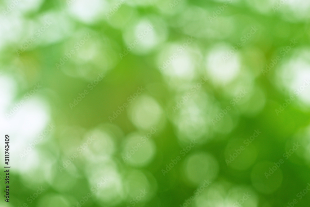 Green bokeh on a blurred background. Green bokeh from a natural tree. Green bokeh on a blurred background. Green bokeh from a natural tree.