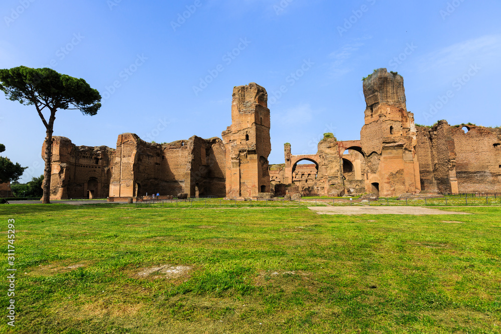 picturesque view of Terme di Caracalla in Rome. Umbrella pines in vast near ruin