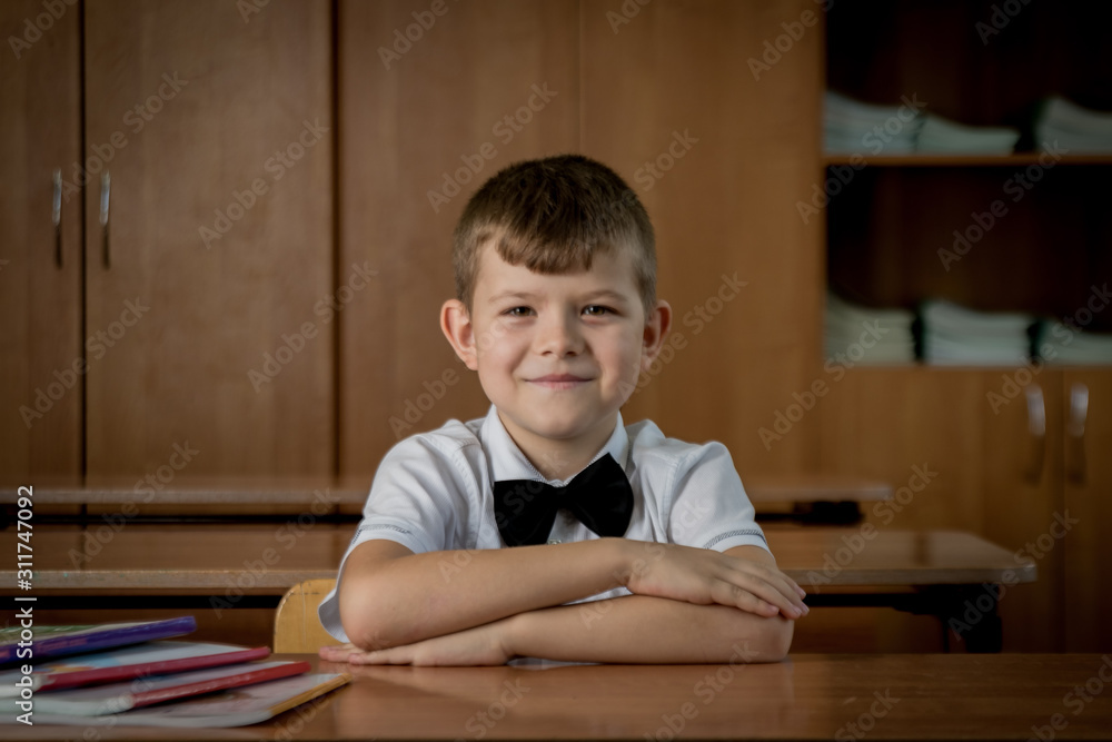 little boy studying little boy studying